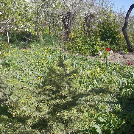 Issyk-Kul - Camping Grigoryevka Hotell Grigor'yevka Eksteriør bilde