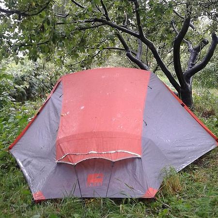 Issyk-Kul - Camping Grigoryevka Hotell Grigor'yevka Eksteriør bilde