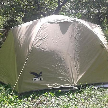 Issyk-Kul - Camping Grigoryevka Hotell Grigor'yevka Eksteriør bilde