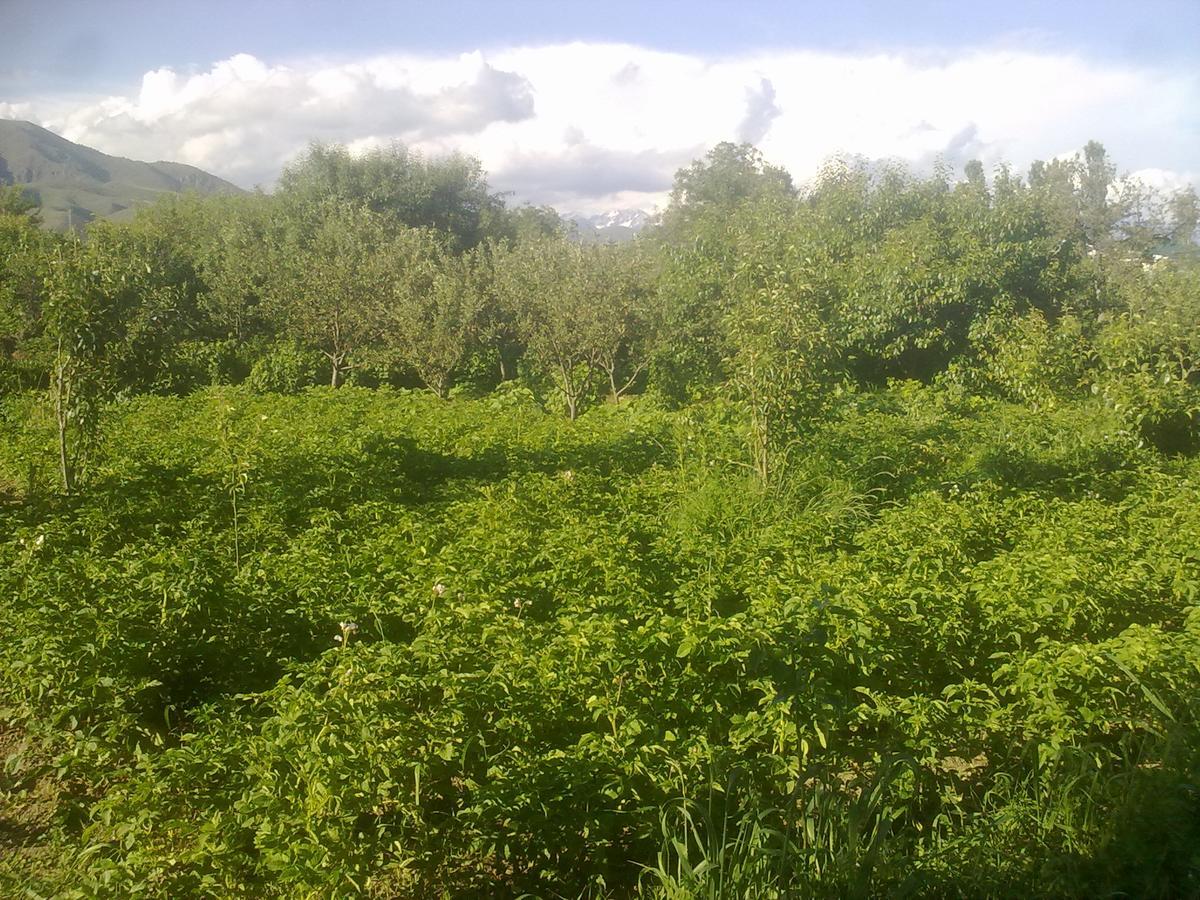 Issyk-Kul - Camping Grigoryevka Hotell Grigor'yevka Eksteriør bilde