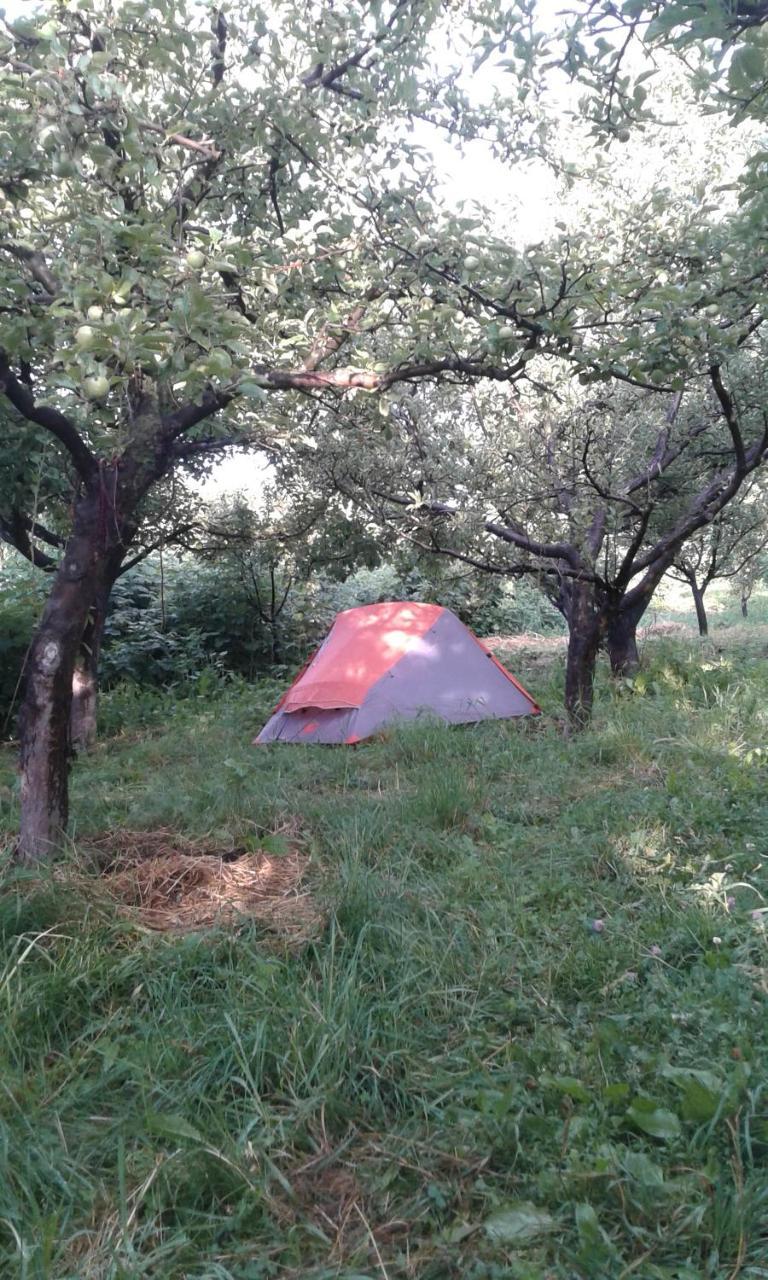 Issyk-Kul - Camping Grigoryevka Hotell Grigor'yevka Eksteriør bilde