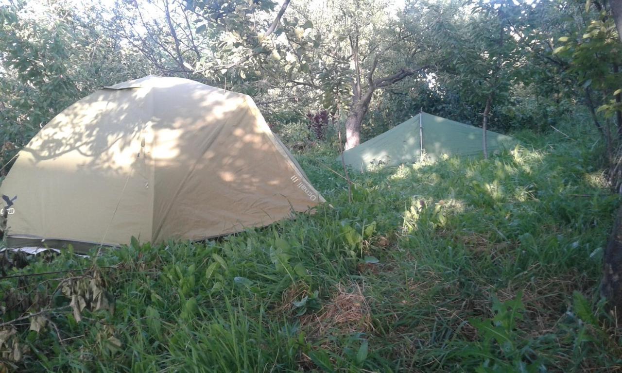 Issyk-Kul - Camping Grigoryevka Hotell Grigor'yevka Eksteriør bilde