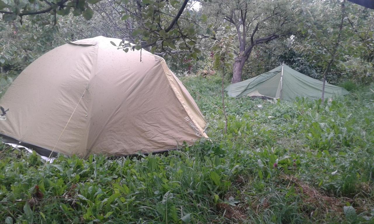 Issyk-Kul - Camping Grigoryevka Hotell Grigor'yevka Eksteriør bilde
