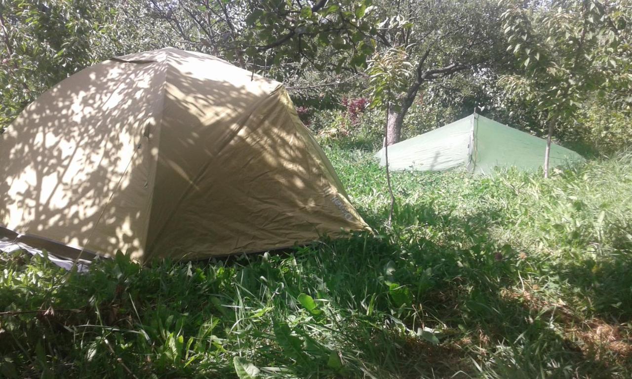 Issyk-Kul - Camping Grigoryevka Hotell Grigor'yevka Eksteriør bilde