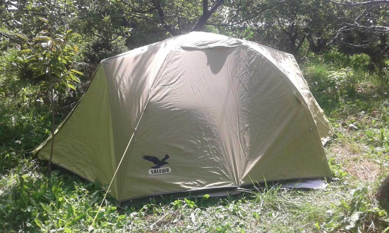 Issyk-Kul - Camping Grigoryevka Hotell Grigor'yevka Eksteriør bilde